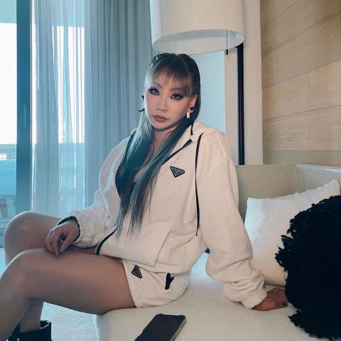 Cl 2ne1 応援投票 身長 年齢など