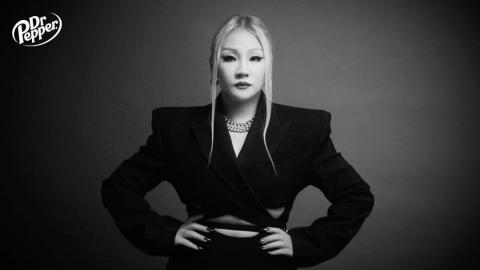 Cl 2ne1 応援投票 身長 年齢など