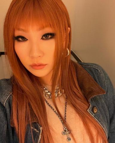 Cl 2ne1 応援投票 身長 年齢など